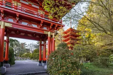 japanese tea garden temple